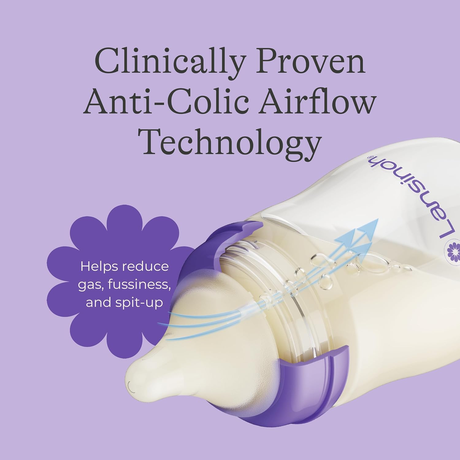 Lansinoh Anti-Colic Baby Bottles 8 oz (240 ml), 4 Count - view 6